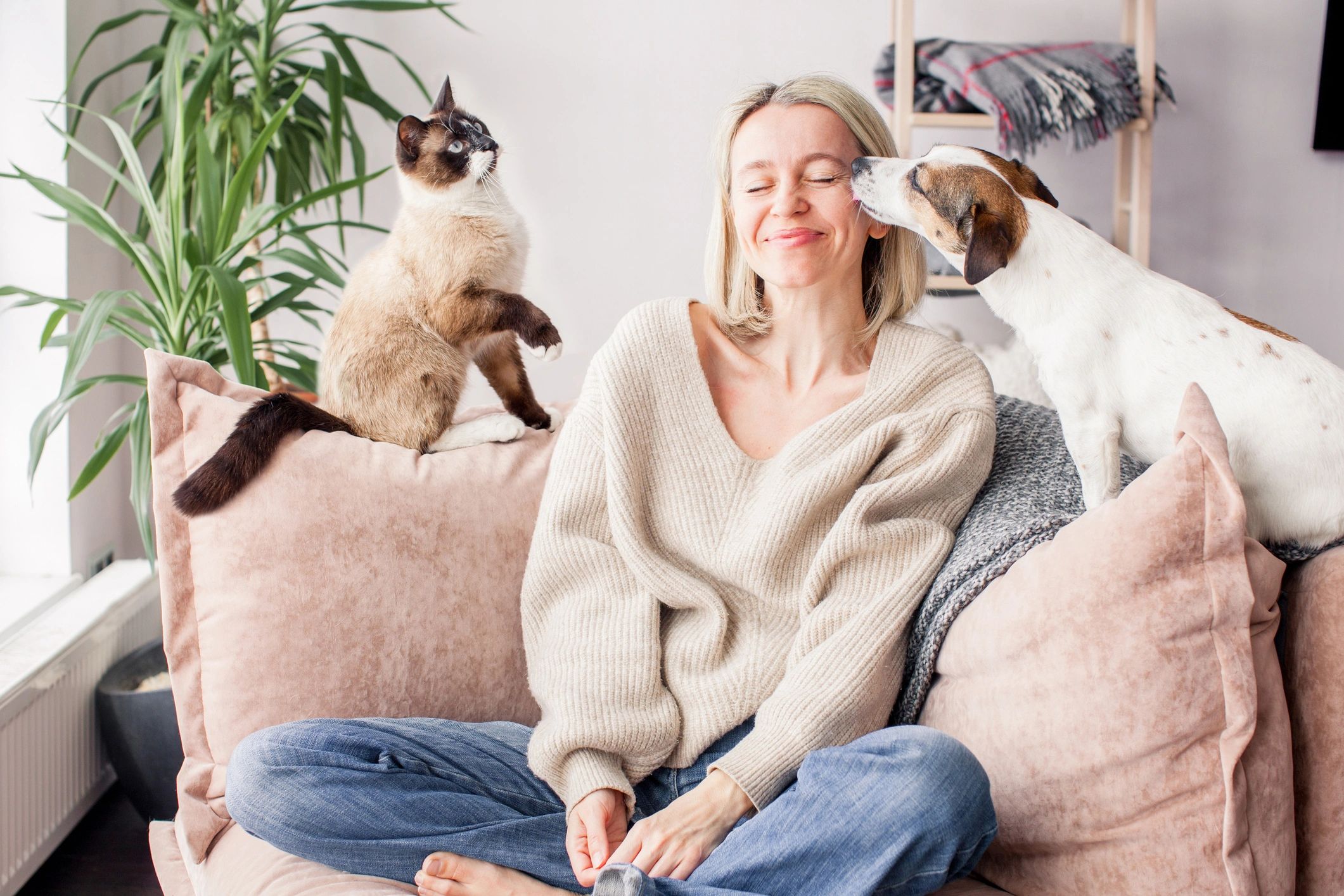 Drop-In Visits - happy pet at home