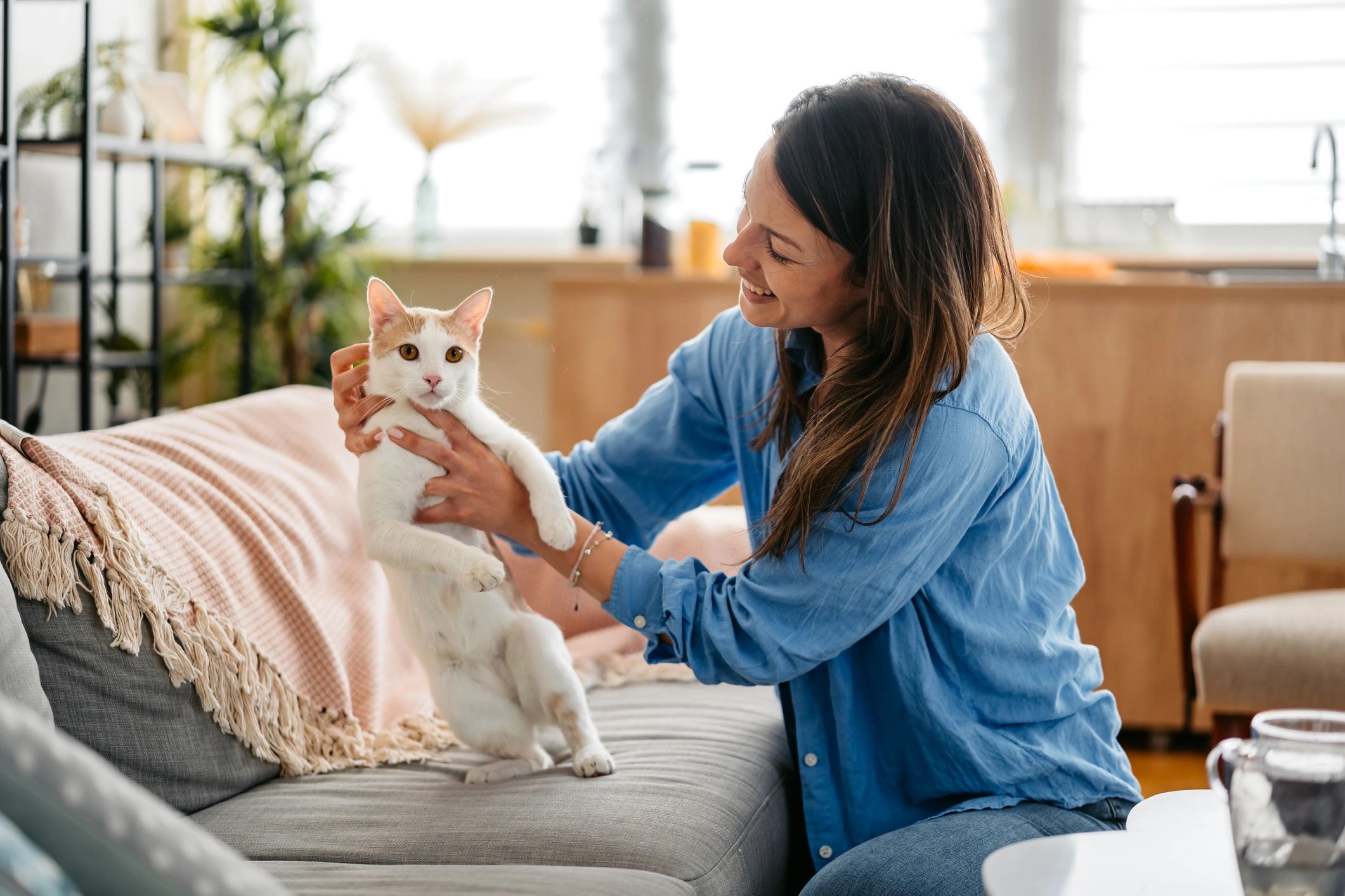 In-Home Sitting - cat care at home
